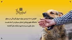 افزایش ۸.۸ درصدی موارد حیوان‌گزیدگی در سطح دانشگاه علوم پزشکی استان سمنان در 6 ماه نخست سال جاری نسبت به دوره مشابه سال گذشته